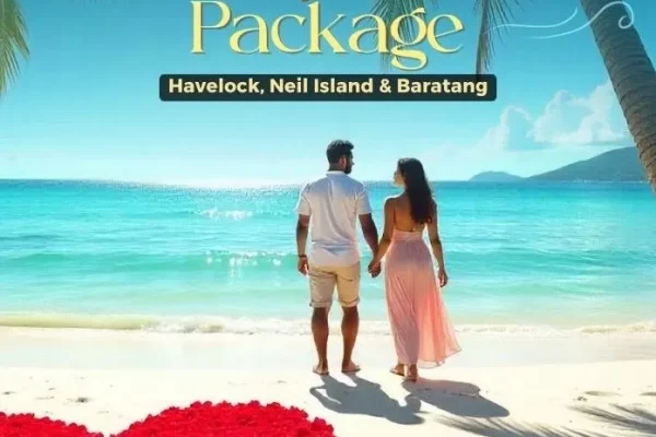 2c74c0027834ae132a7cf291d120d3f18d2947c4-696x1000